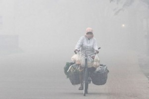 Terus Bekerja dalam Kepungan Asap